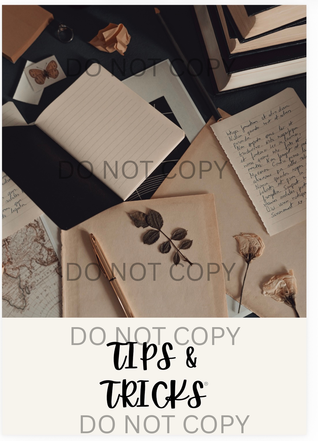 A Simple Guide to Canva